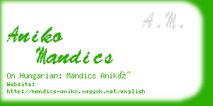 aniko mandics business card